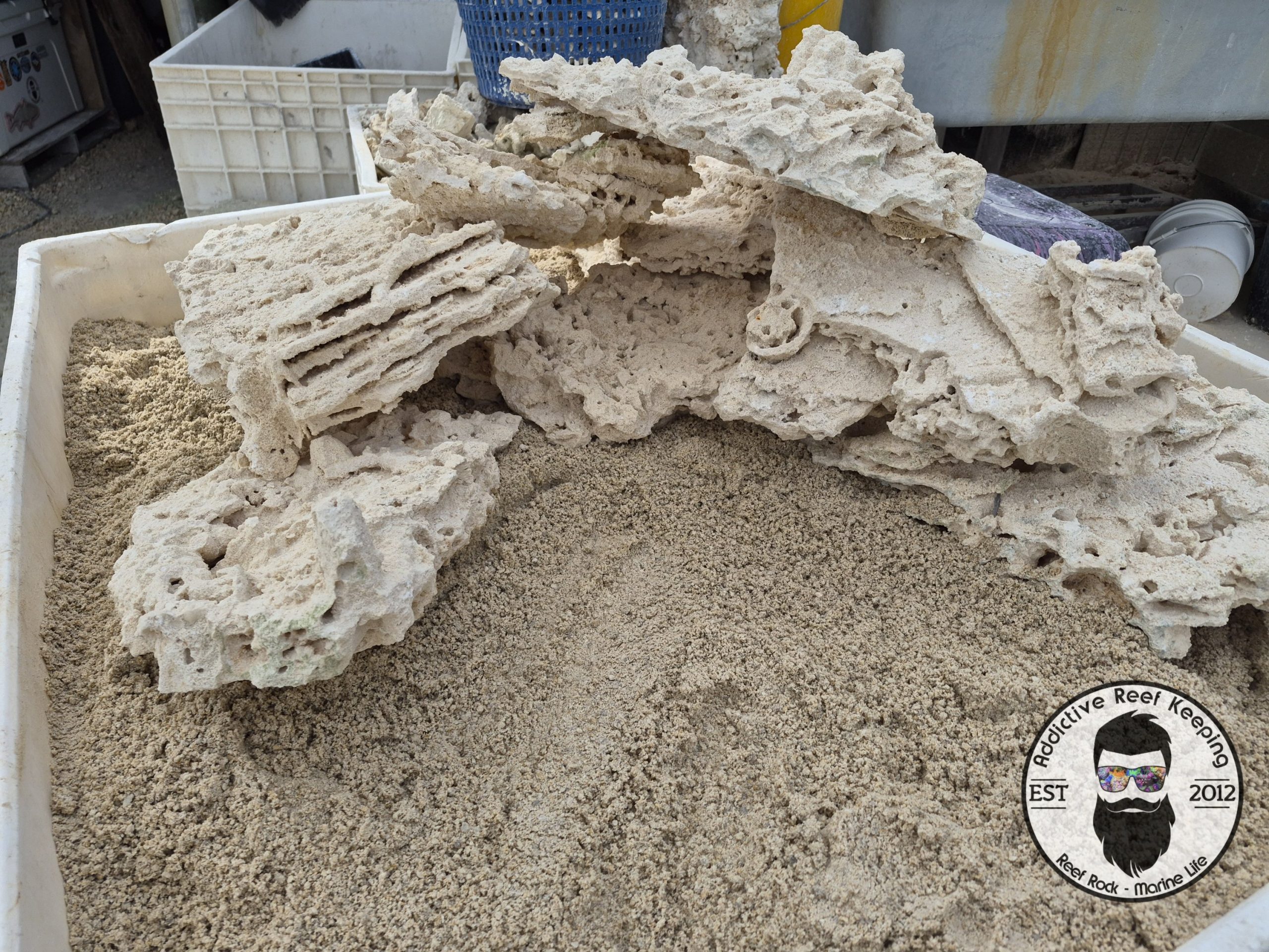ARK Premium Shelf Rock