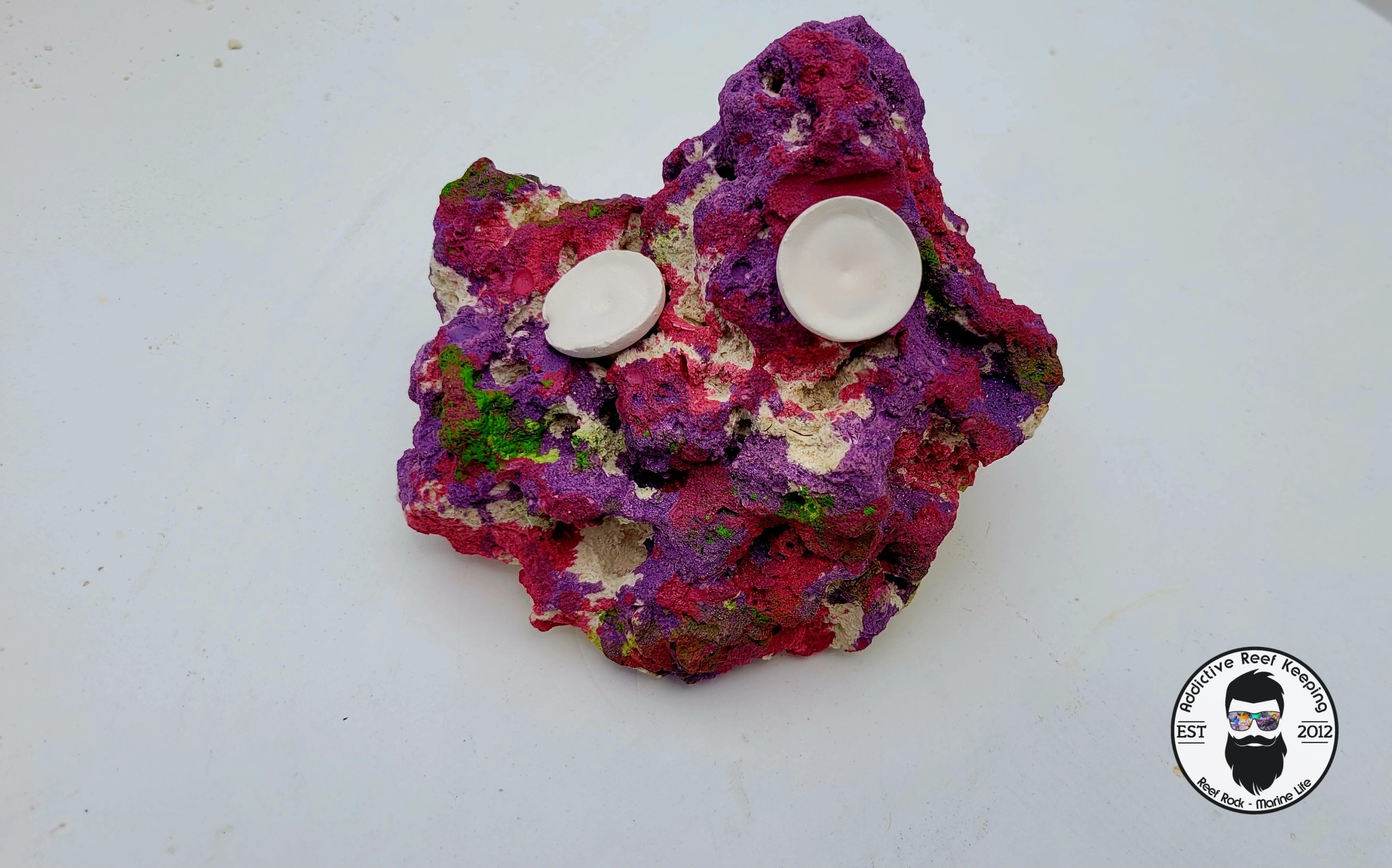 ARK Frag Rock Island Dreams- 2 Frag Holes- 5″× 6″