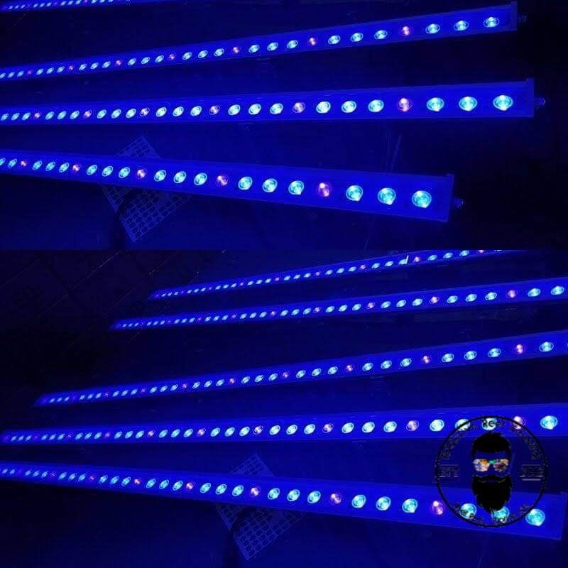Marine Life LED Strip Lights- Aquarium Saltwater