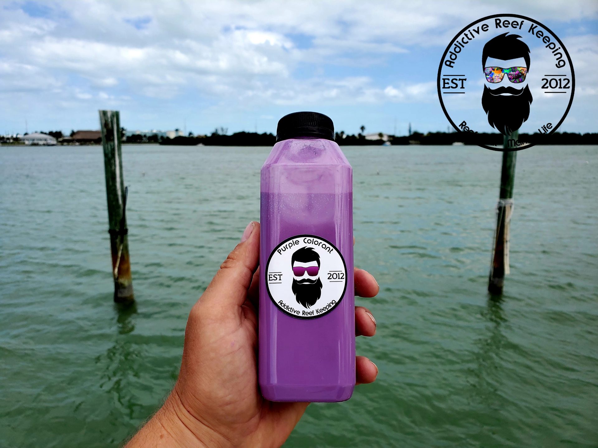 16oz Purple Reef Safe Colorant for DRY Rock (Aquascape Touch Up)