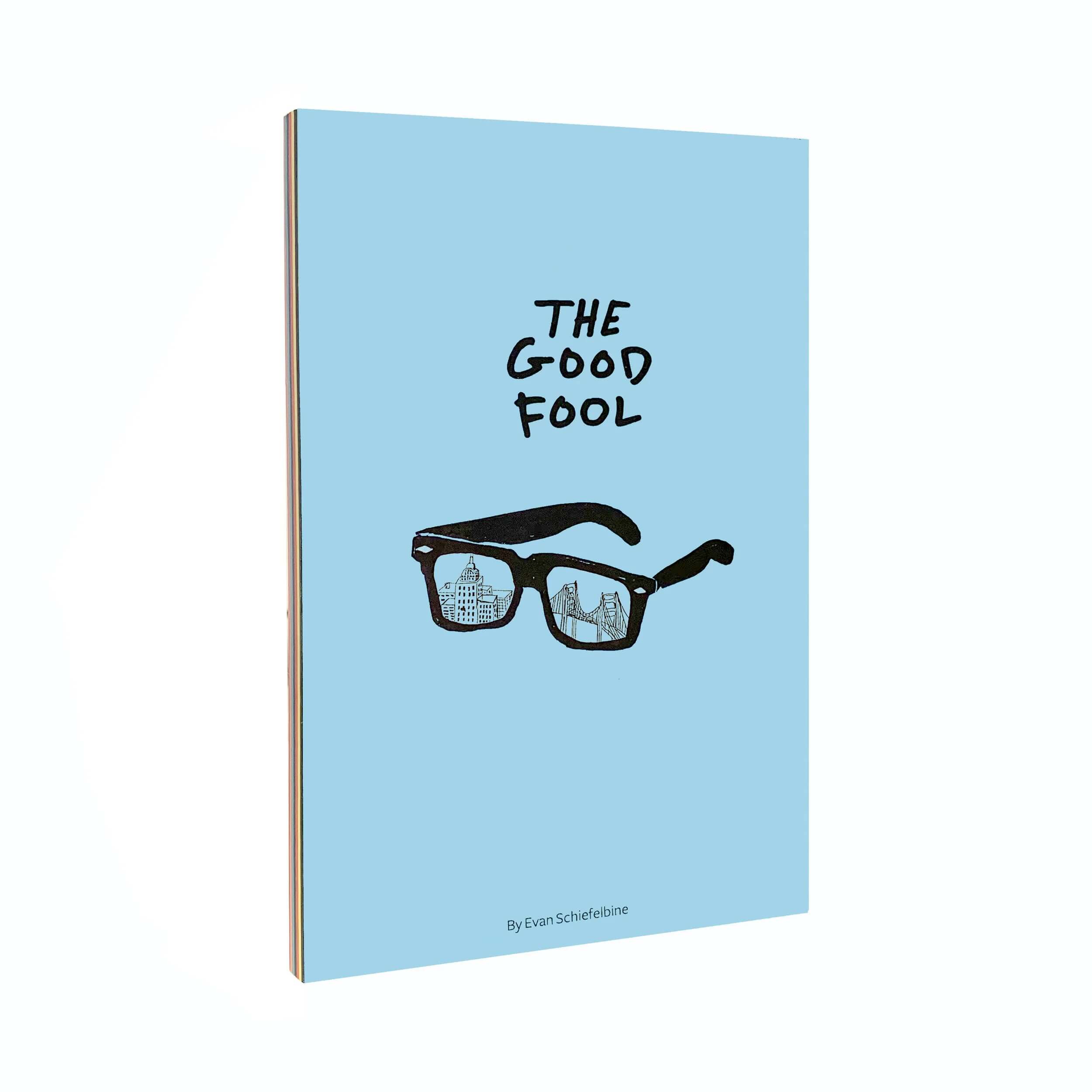 The Good Fool By Evan Schiefelbine, priced at $20.00, in stock