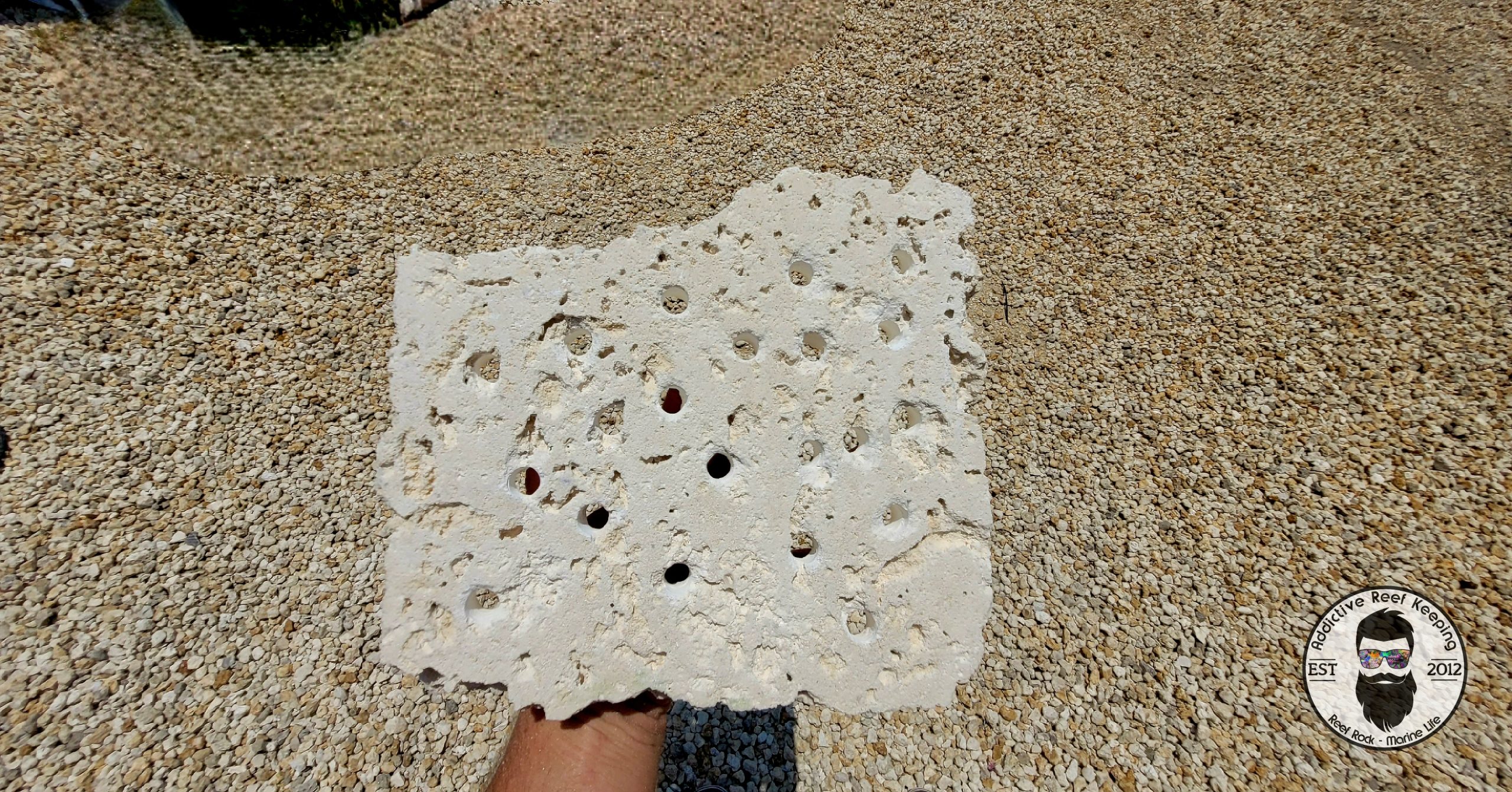 ARK Frag Rock- 20 Frag Holes- 11″× 8″