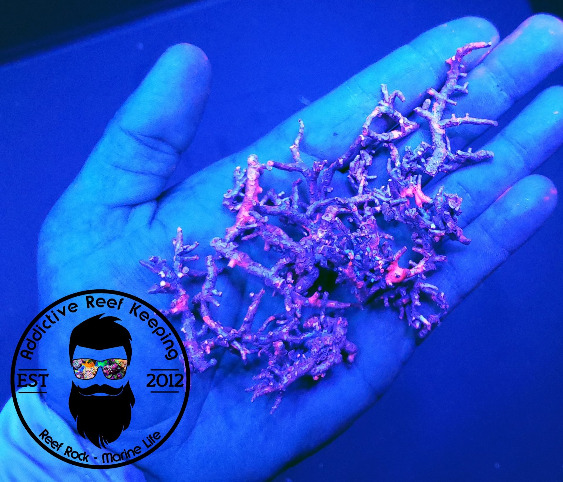 1lb UV Coralline Crushed Coral- Frag Media, Substrate