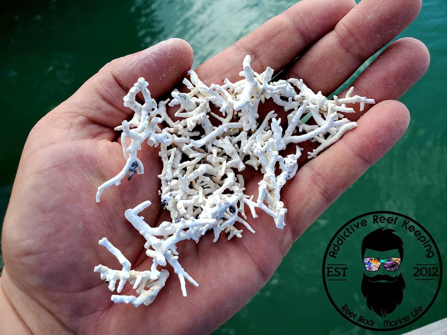 1lb Crushed Coral Substrate- Calcium Reactor Media, Frag Media