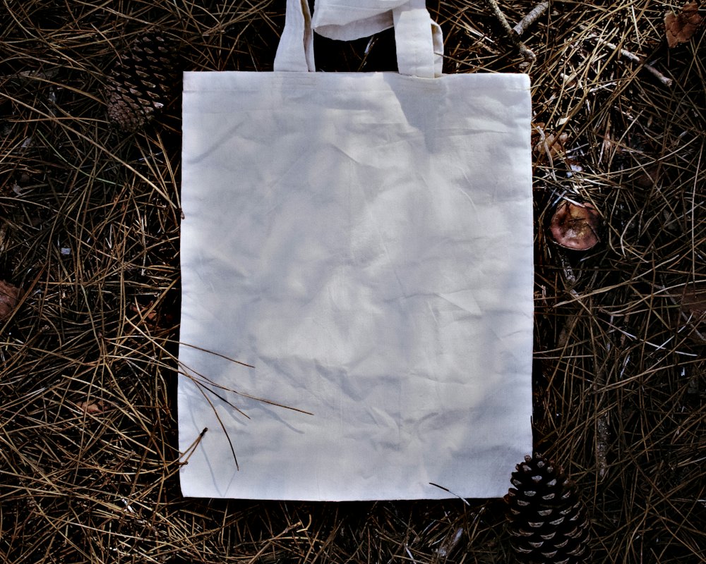 Canvas tote hanging on a barn door
