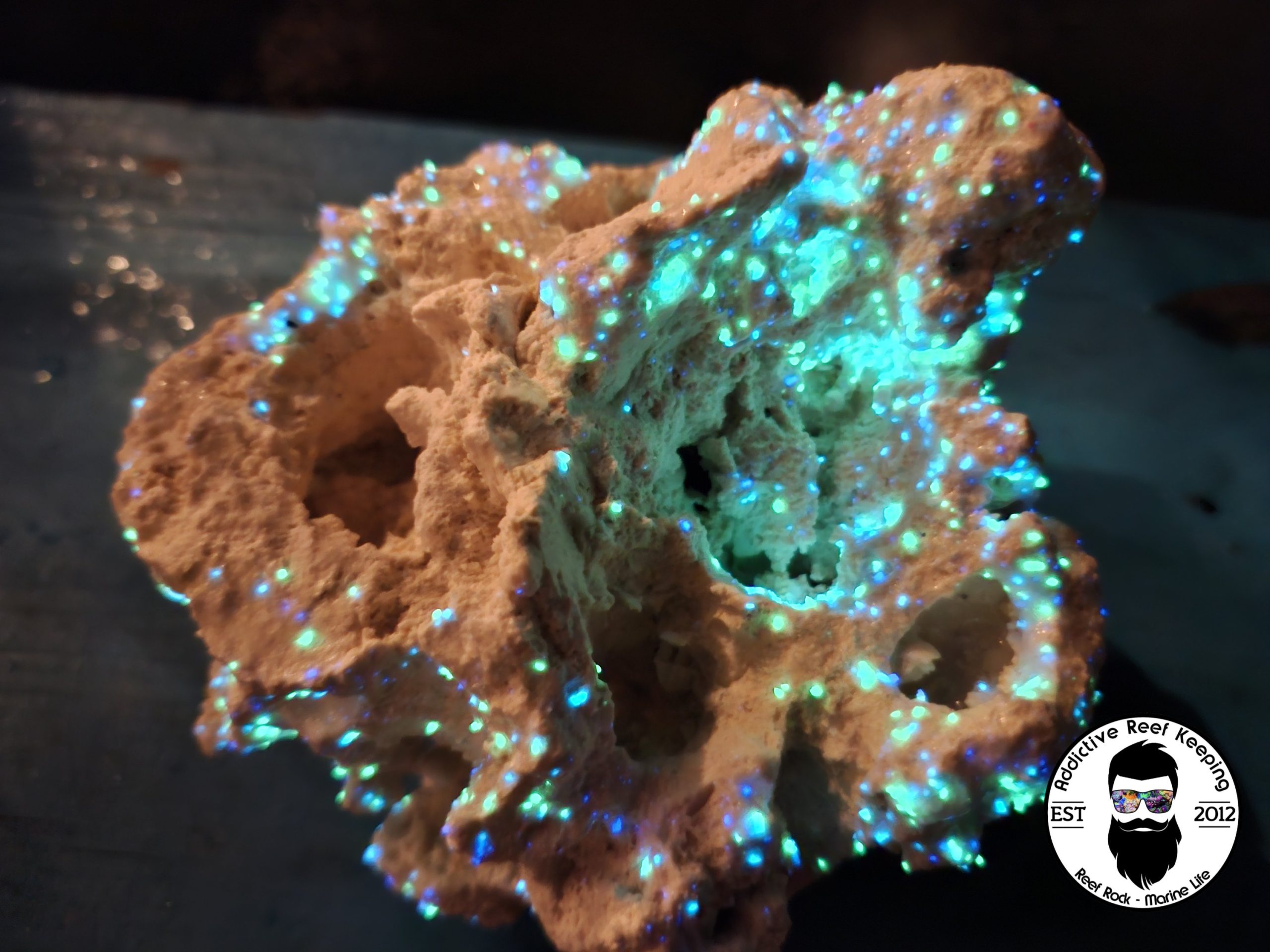 ARK Glowing Star Reef Rock- PICK SIZE AND WEIGHT