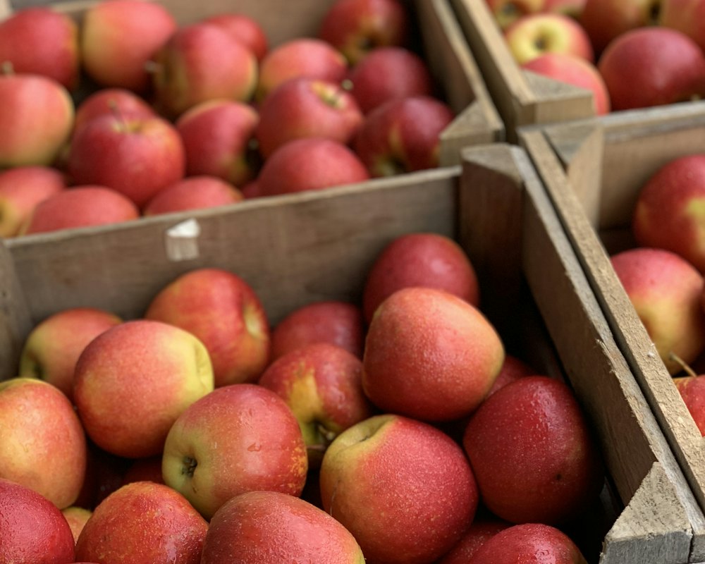 Cortland apples in a paper peck bag