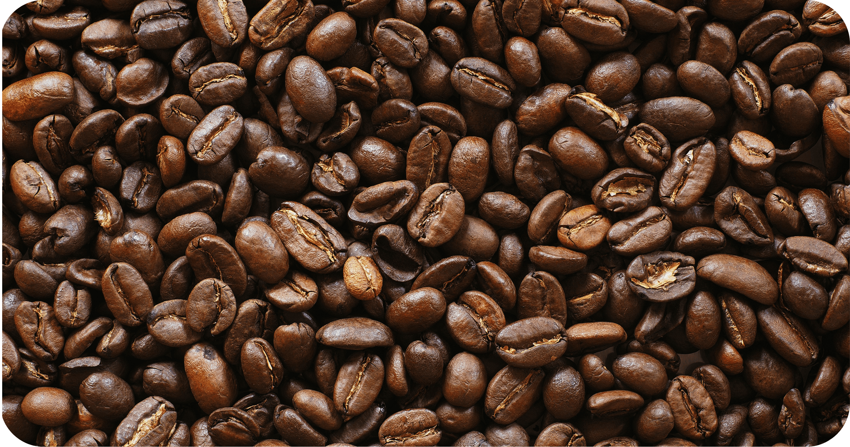 House Espresso