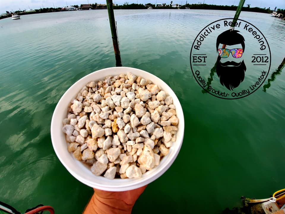 Crushed Coral Rock Small Pea Size By The Pound