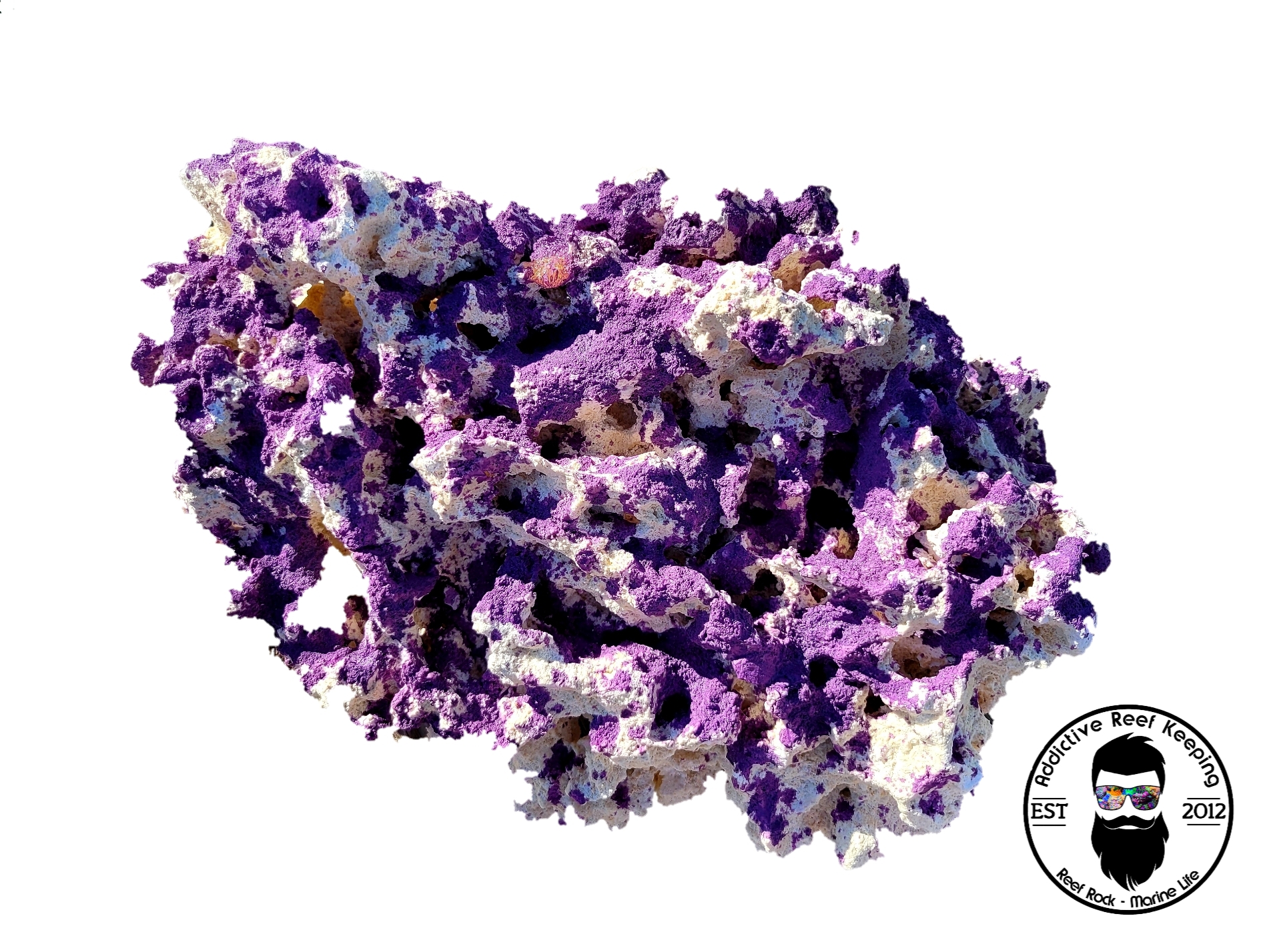 ARK Splatter Purple Reef Rock- PICK SIZE AND WEIGHT