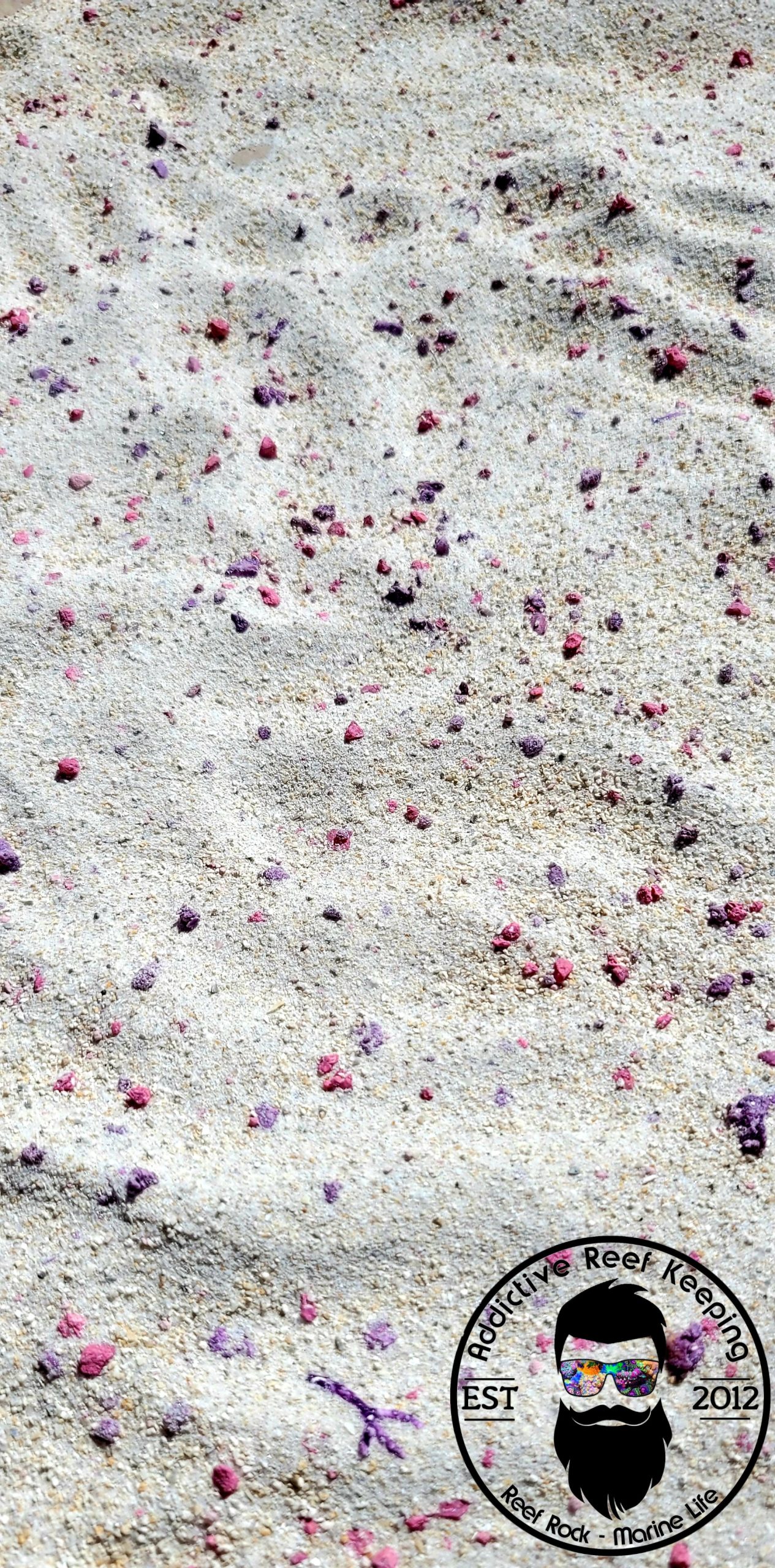 25lb. ARK Coralline Aragonite Reef Sand – FINE Natural White/Pink Crushed Coral Sand