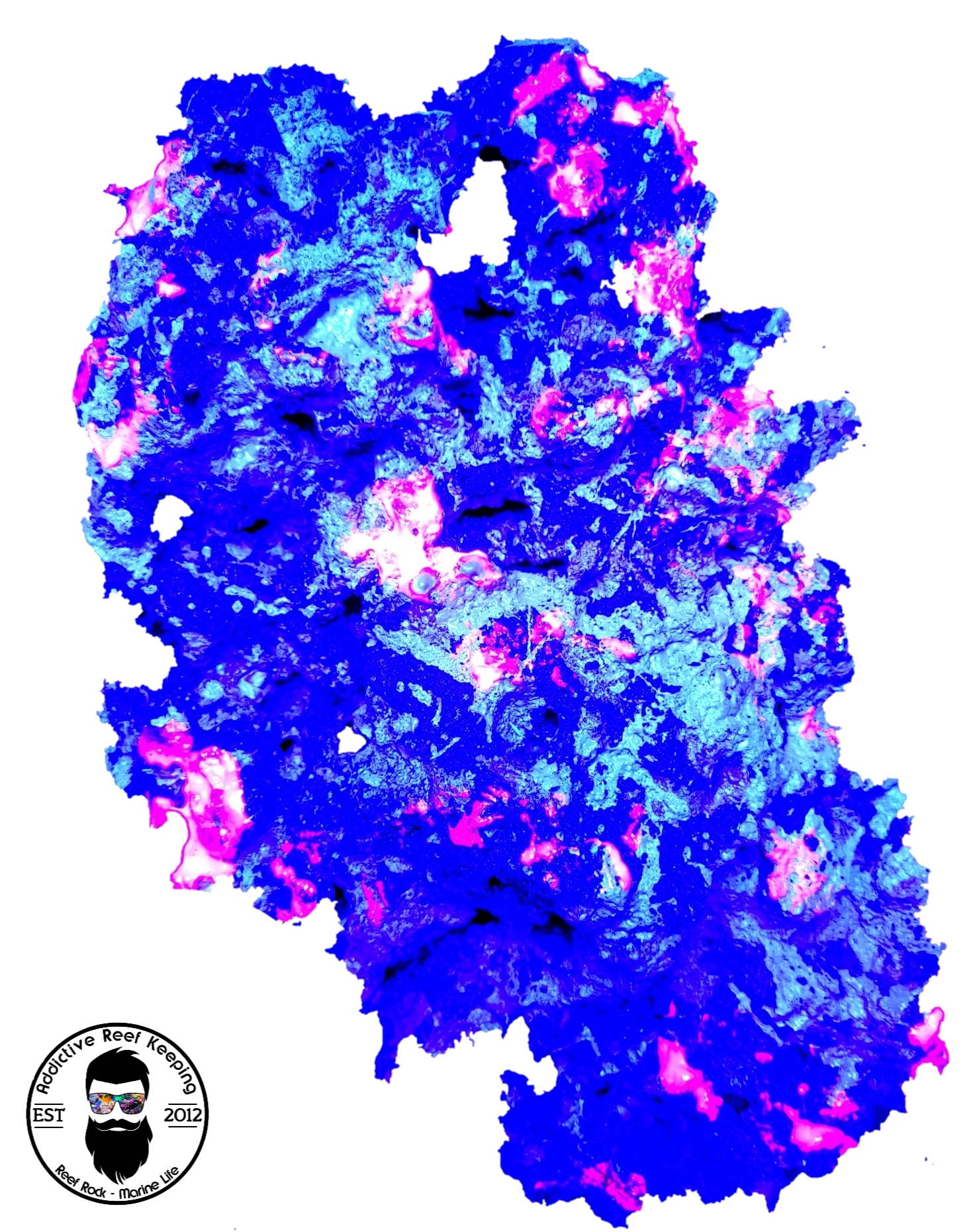 ARK UV Reef Rock GLOWS UNDER BLUE- PICK SIZE AND WEIGHT