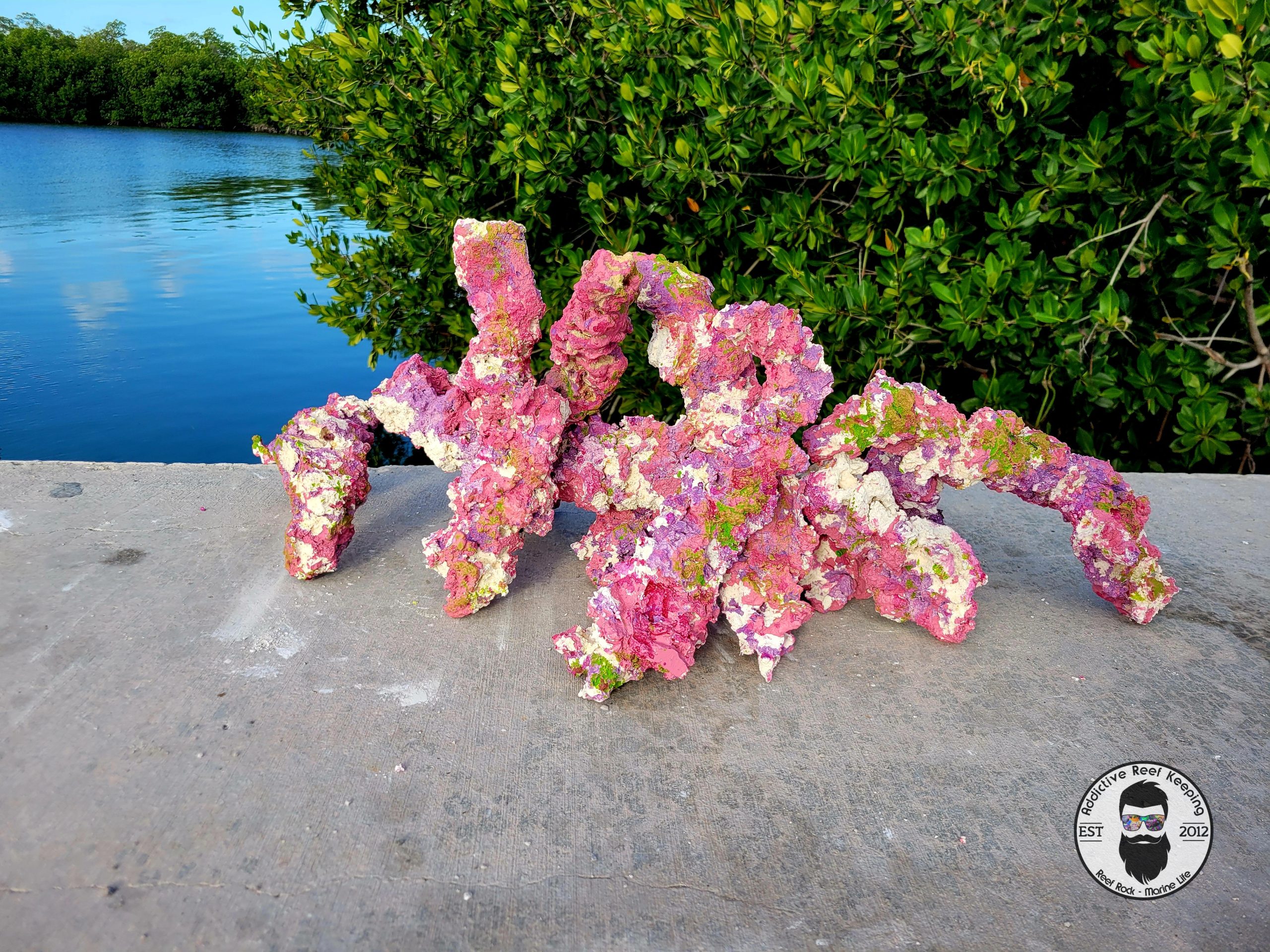 ARK Branch Reef Rock Island Dreams 10″ to 20″