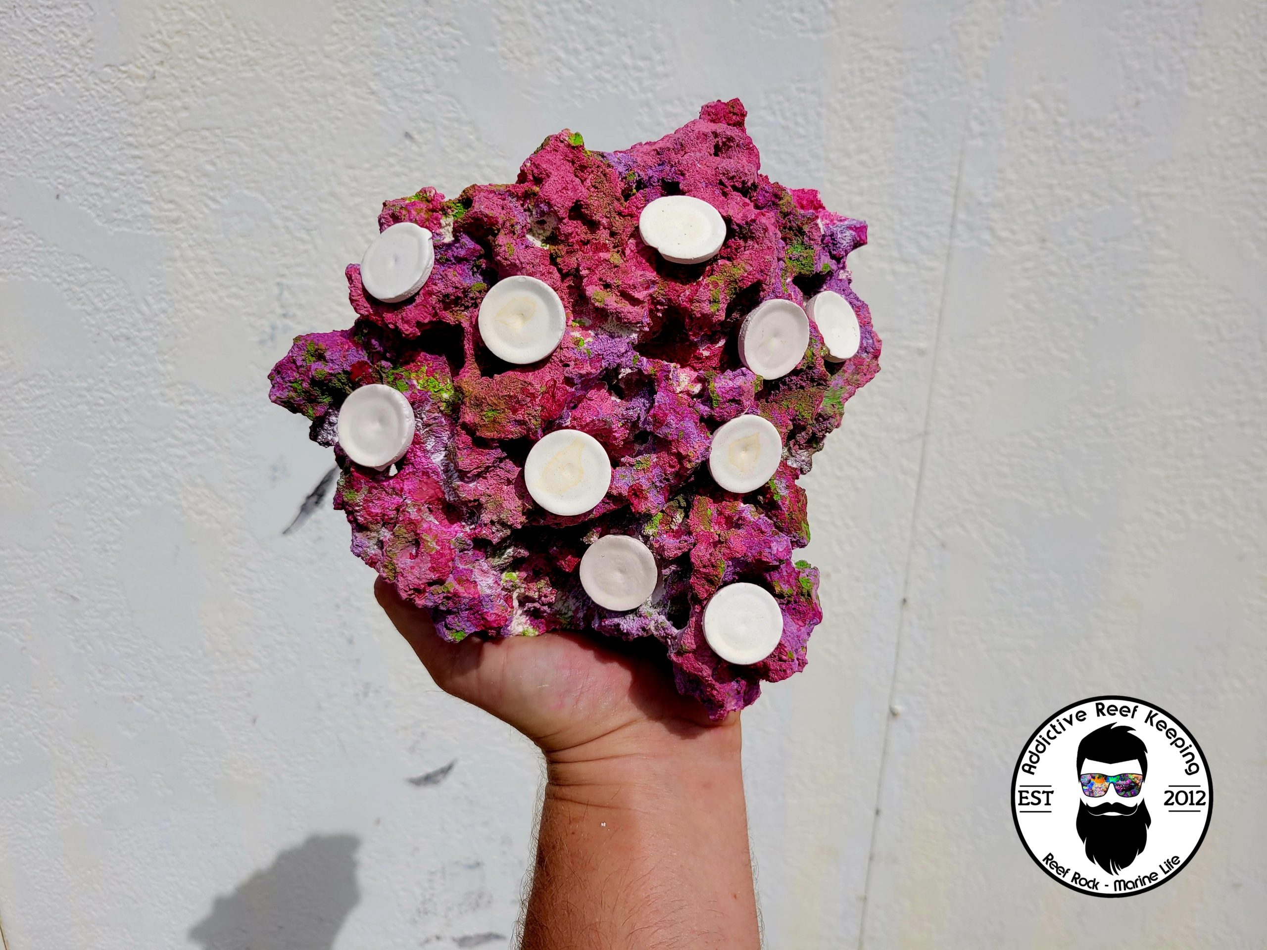 ARK Frag Rock Island Dreams- 10 Frag Holes- 9″× 8″