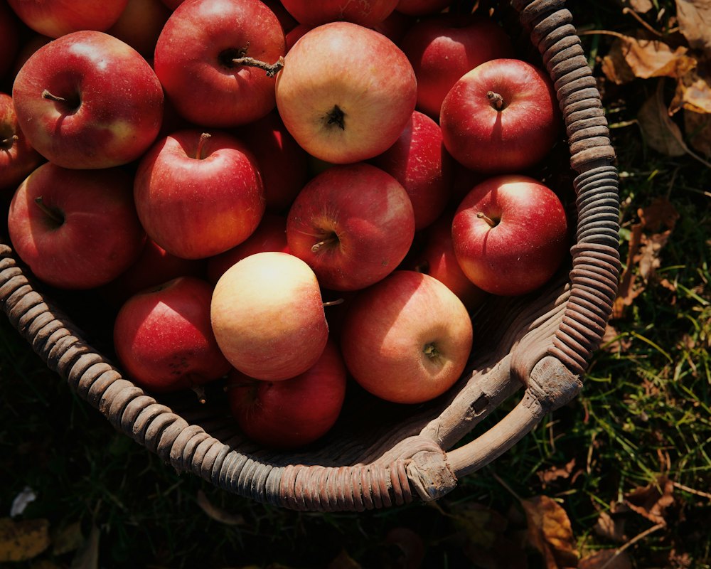 Northern Spy apples in a paper peck bag