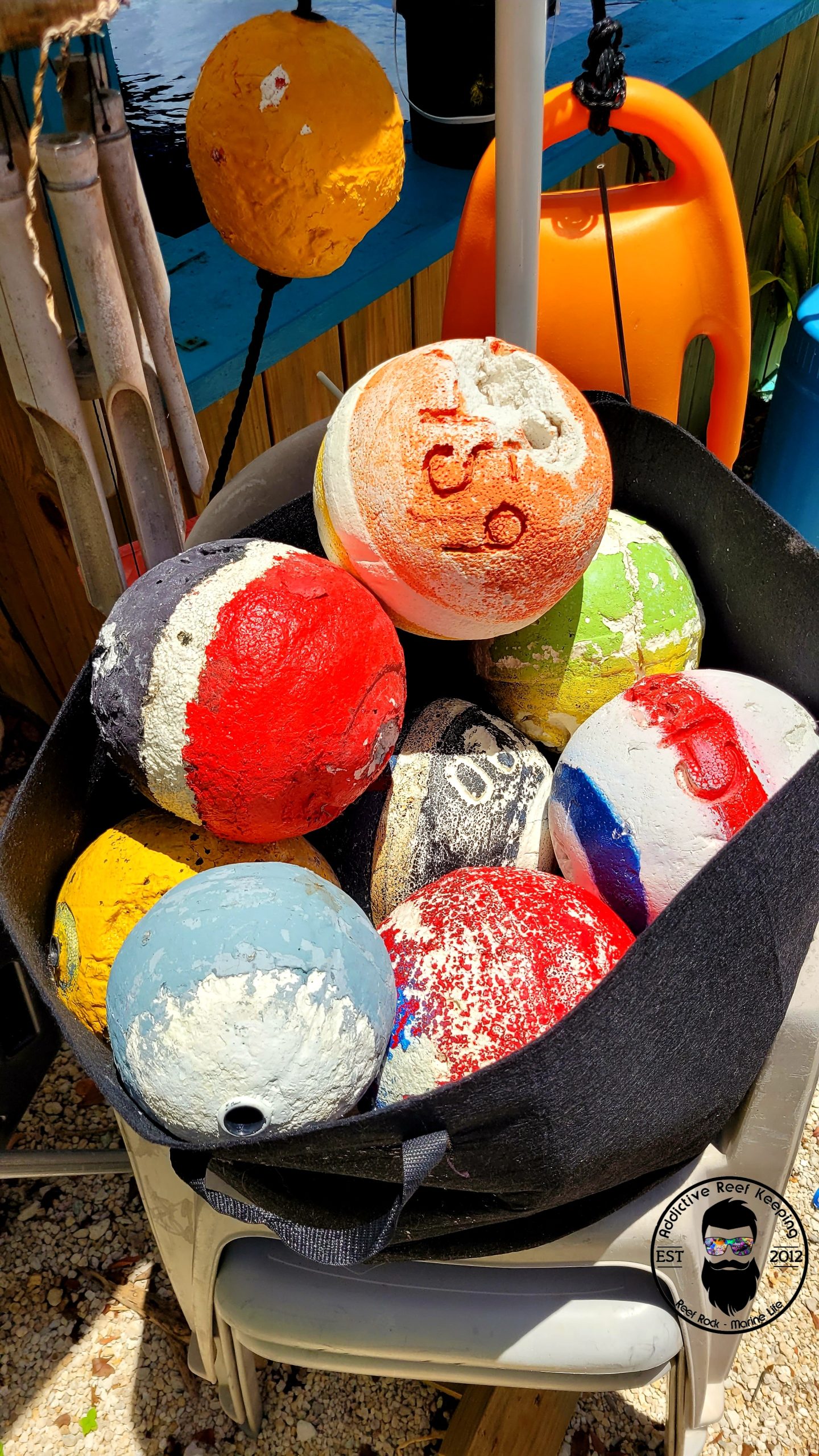 1 Assorted Trap Bouy- Random Pick
