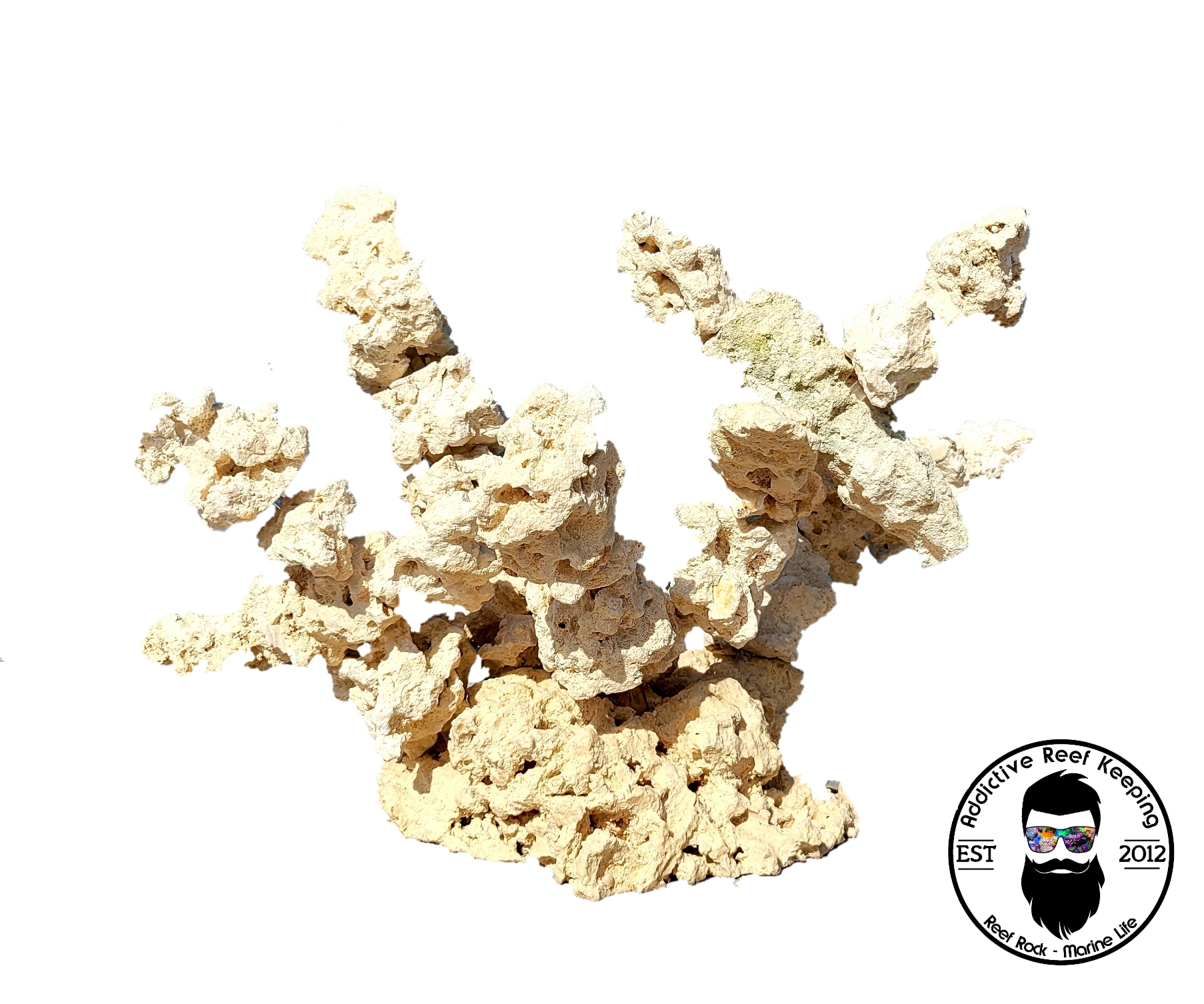 ARK Island Branch Rock Kit Dry Reef Rock Aragonite Base, Porous Aquariums Live