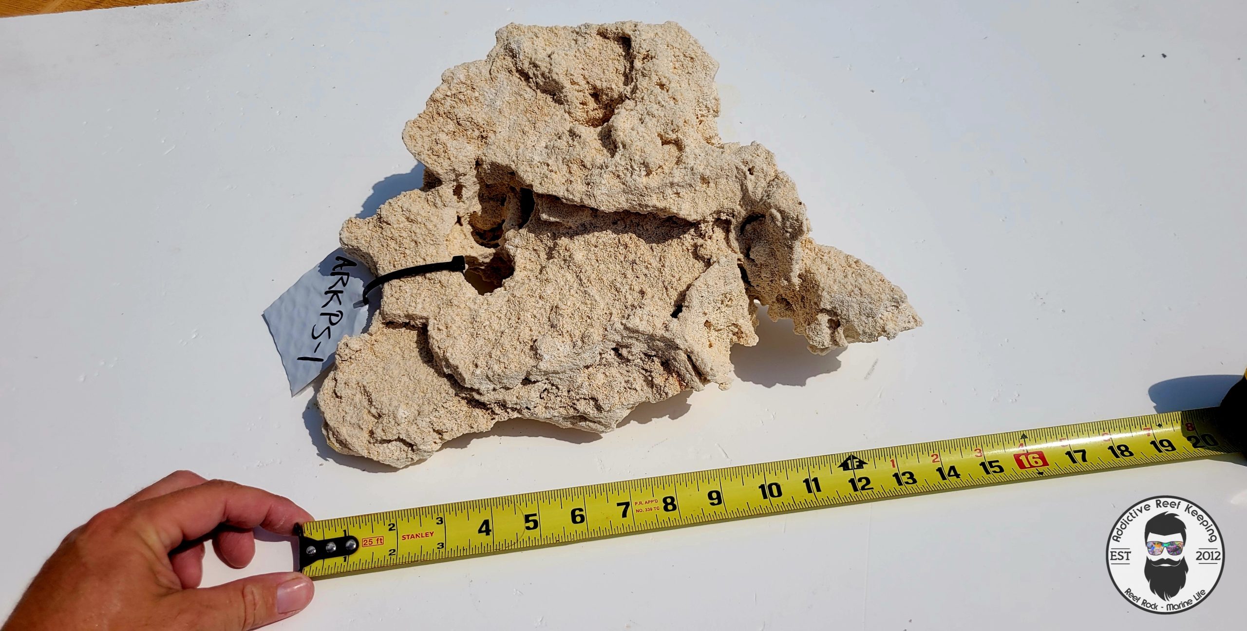 WYSIWYG Premium Shelf Rock- ARKPS-1 9.25lb