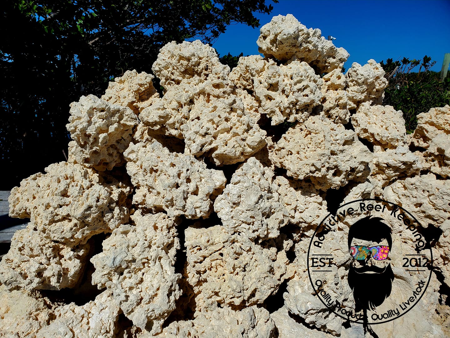 ARK White DRY Reef Rock- Select Size and Weight
